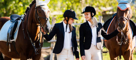 équipements de chevaux